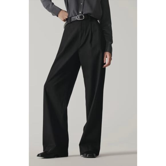 Everlane Pants - NWT EVERLANE The Draper Pleated Pant in Buttersmooth SIZE 0